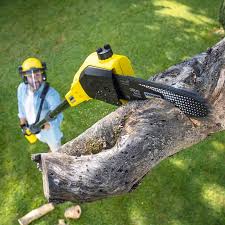 Best Soil Testing and Treatment  in San Carlos, AZ